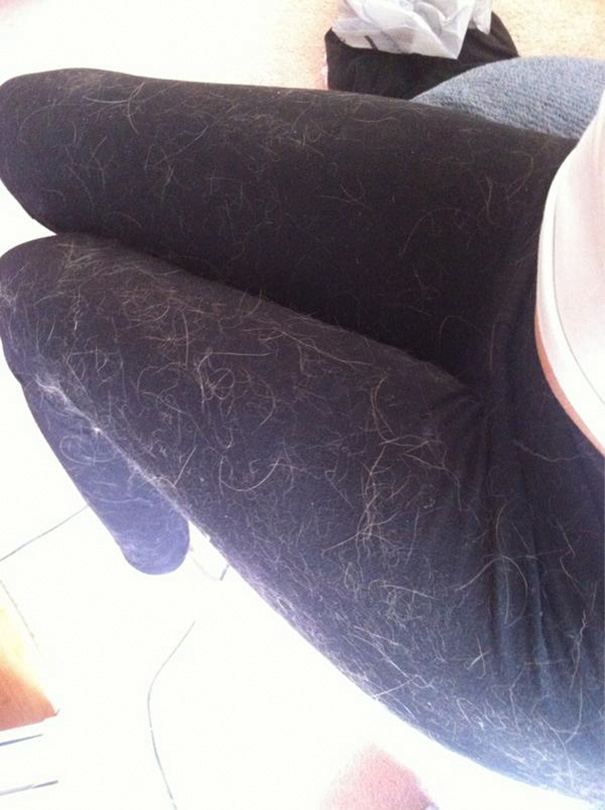 Why I Shouldn't Wear Black In My House