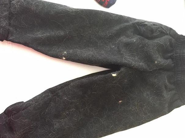 Post Wash Laundry, Ready For The Lint Roller