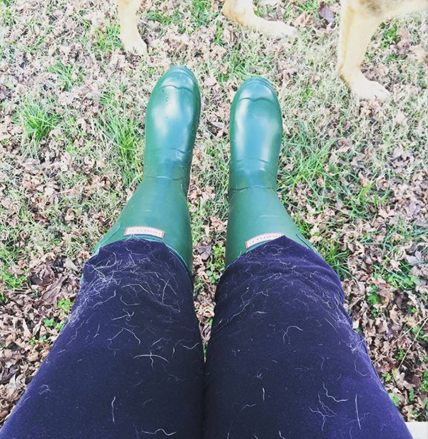 Guess My Dogs Thought I Needed A Bath Too