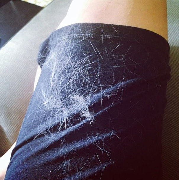 Morning Cuddles With Bebe, And This Is What I Get