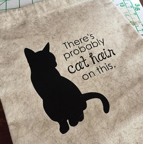 Apparently Kitty Boy Has Been Sleeping On This