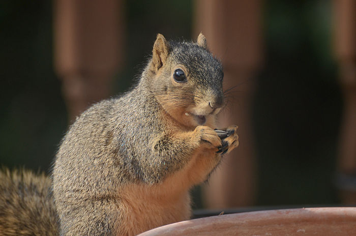 Excuse Me, I'm Trying To Eat.