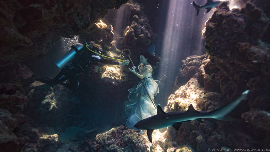 Photographer Tied A Model Up In Shark-infested Waters Photographer Tied A Model Up In Shark-infested Waters