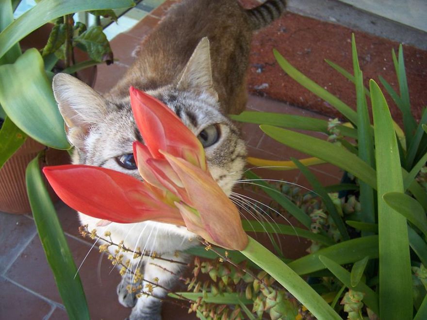 That's New! Yesterday Was Closed.