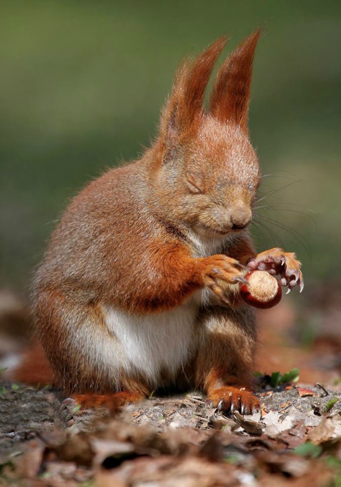 The Force Is Strong In This One