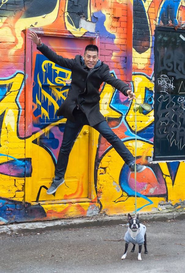 Rescue Dogs Celebrate The New Year In A Very Fun Way Rescue Dogs Celebrate The New Year In A Very Fun Way