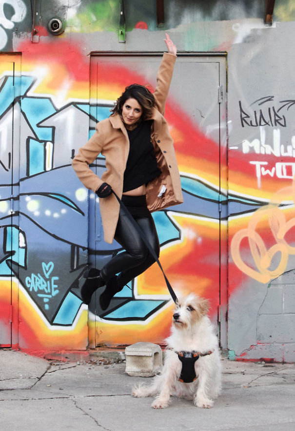 Rescue Dogs Celebrate The New Year In A Very Fun Way Rescue Dogs Celebrate The New Year In A Very Fun Way