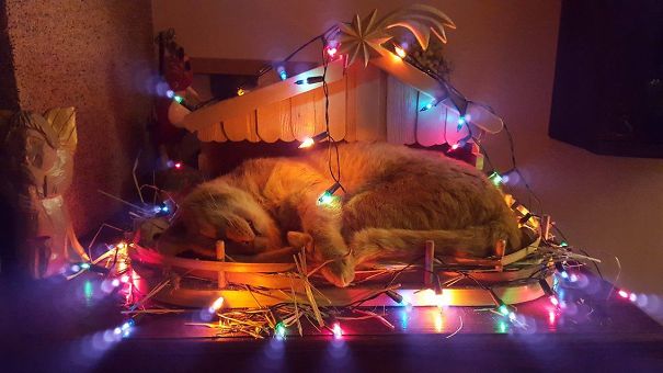 Christmas Is Over :)