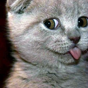 ugne_stankeviciute_3 avatar