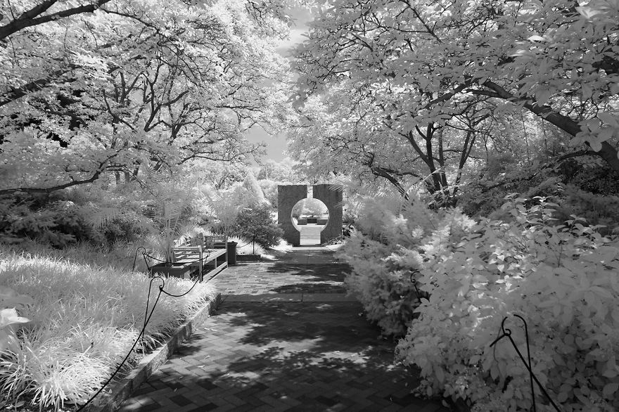 Seeing Washington, DC In Infrared Seeing Washington, DC In Infrared