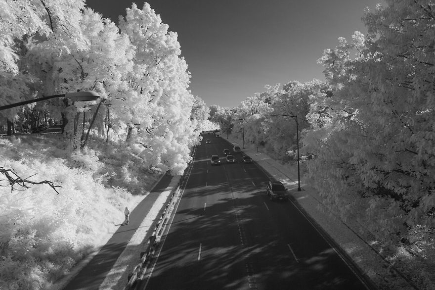 Seeing Washington, DC In Infrared Seeing Washington, DC In Infrared