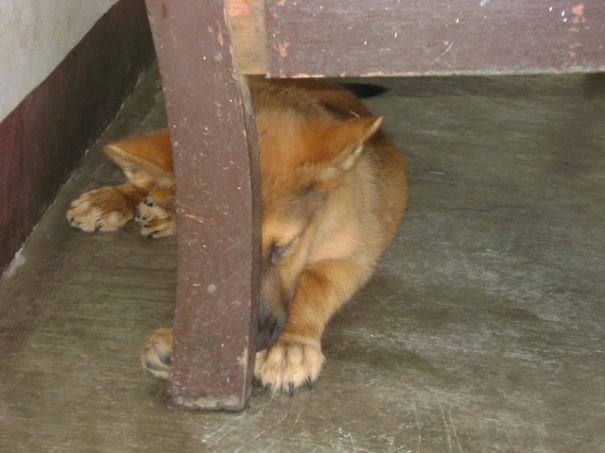 Just Taking A Nap.. Ssshhh