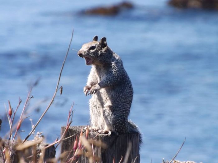 Six Callers Ahead Of Us, Jimmy!