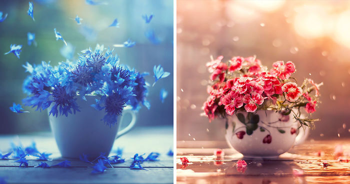 I Create Whimsical Images Using Flowers