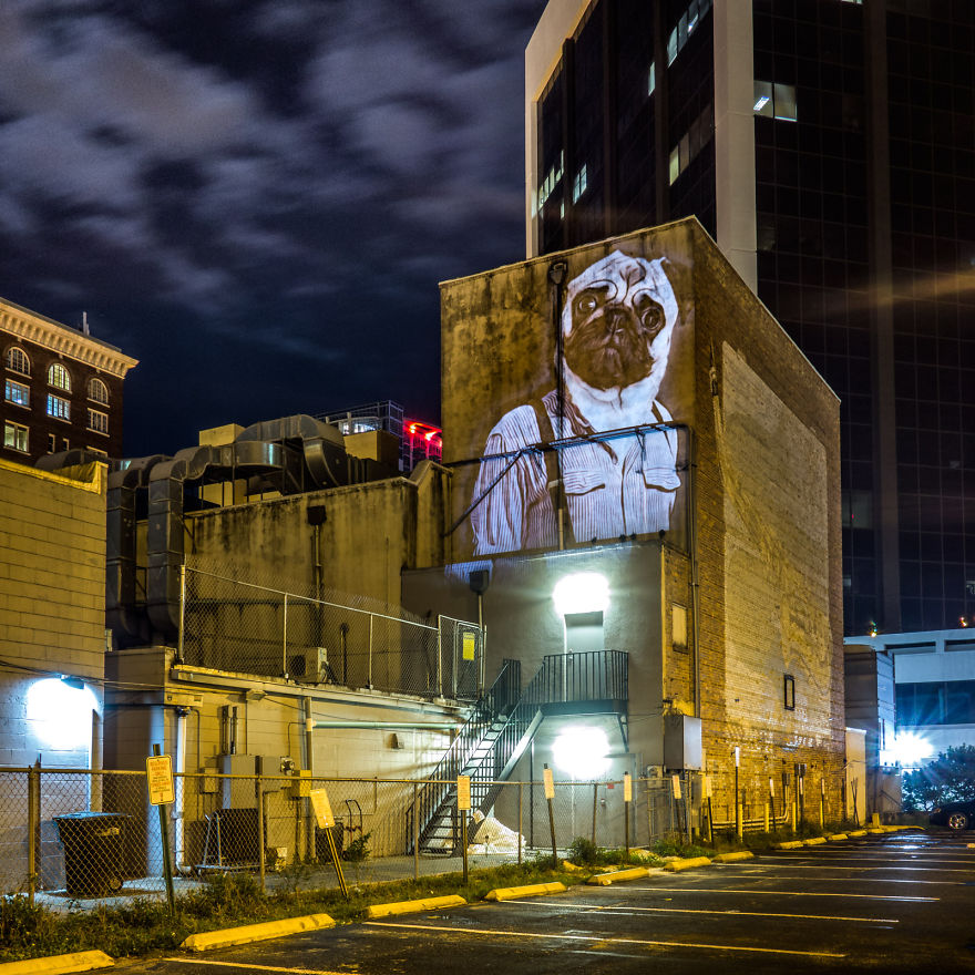 Stylish Hipster Animals Take Over The Buildings Of Orlando Stylish Hipster Animals Take Over The Buildings Of Orlando