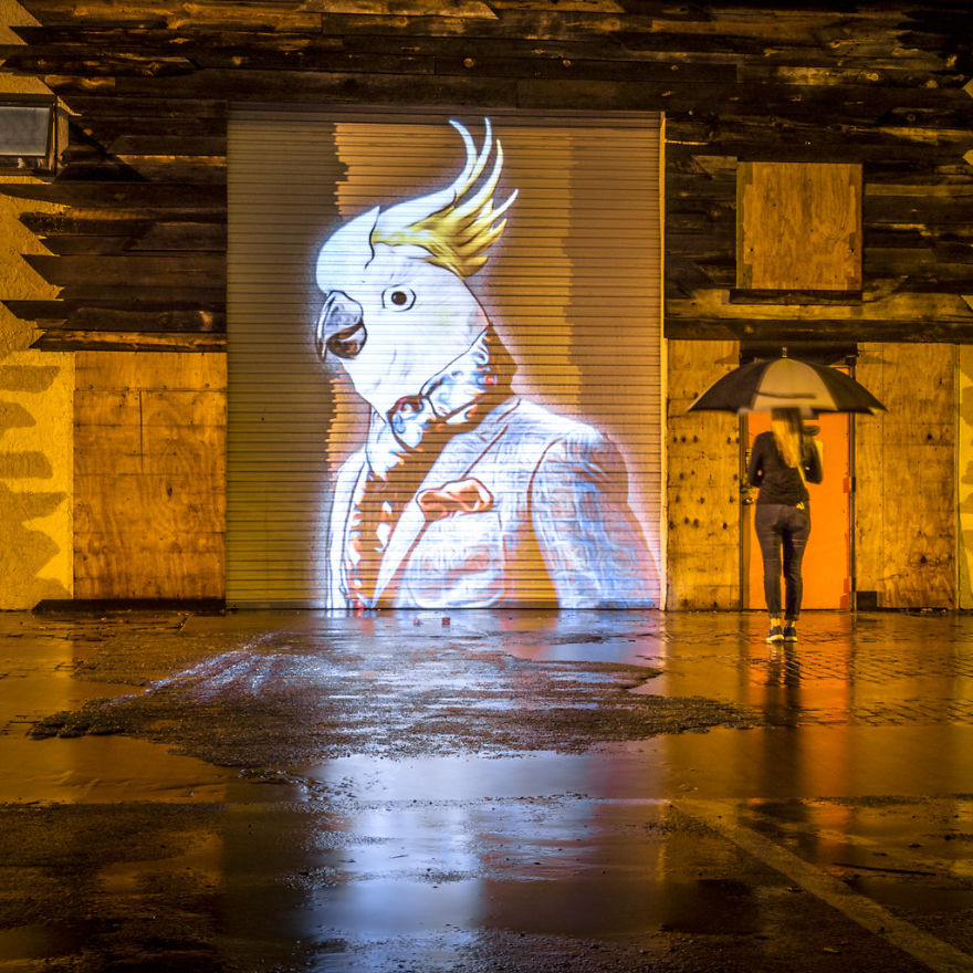 Stylish Hipster Animals Take Over The Buildings Of Orlando Stylish Hipster Animals Take Over The Buildings Of Orlando