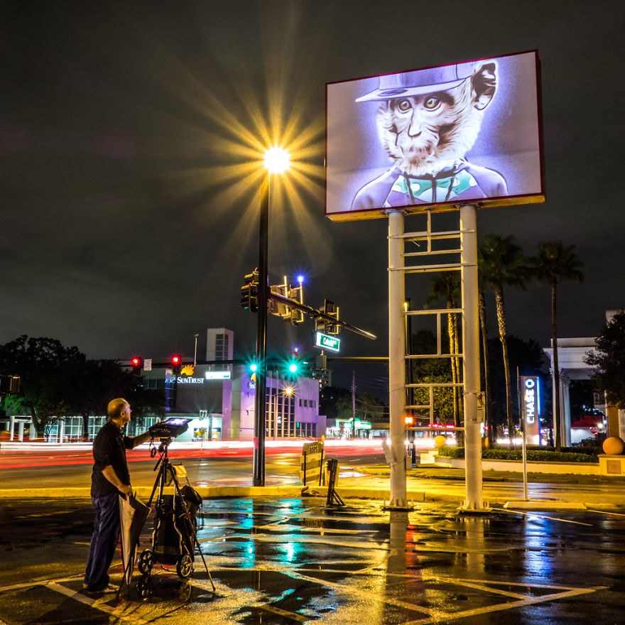 Stylish Hipster Animals Take Over The Buildings Of Orlando Stylish Hipster Animals Take Over The Buildings Of Orlando