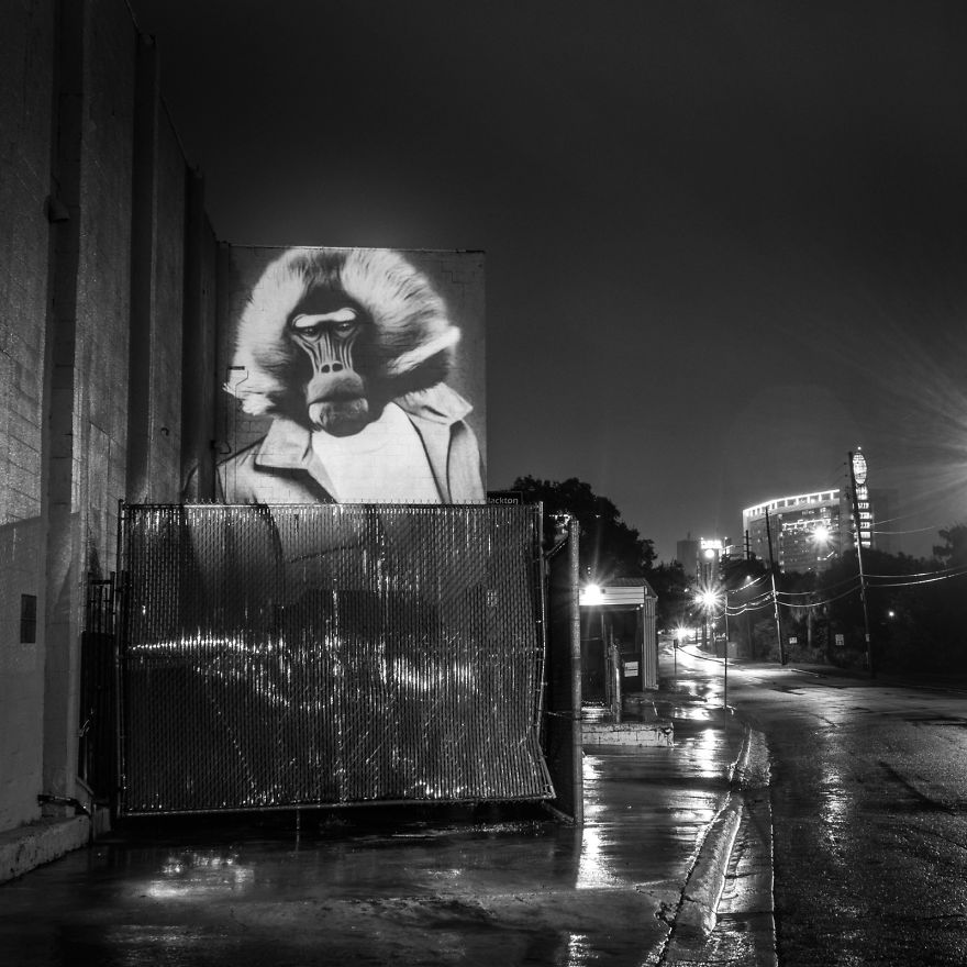 Stylish Hipster Animals Take Over The Buildings Of Orlando Stylish Hipster Animals Take Over The Buildings Of Orlando