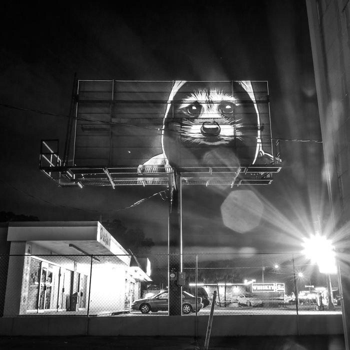 Stylish Hipster Animals Take Over The Buildings Of Orlando