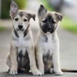 leticiaprice1120 avatar