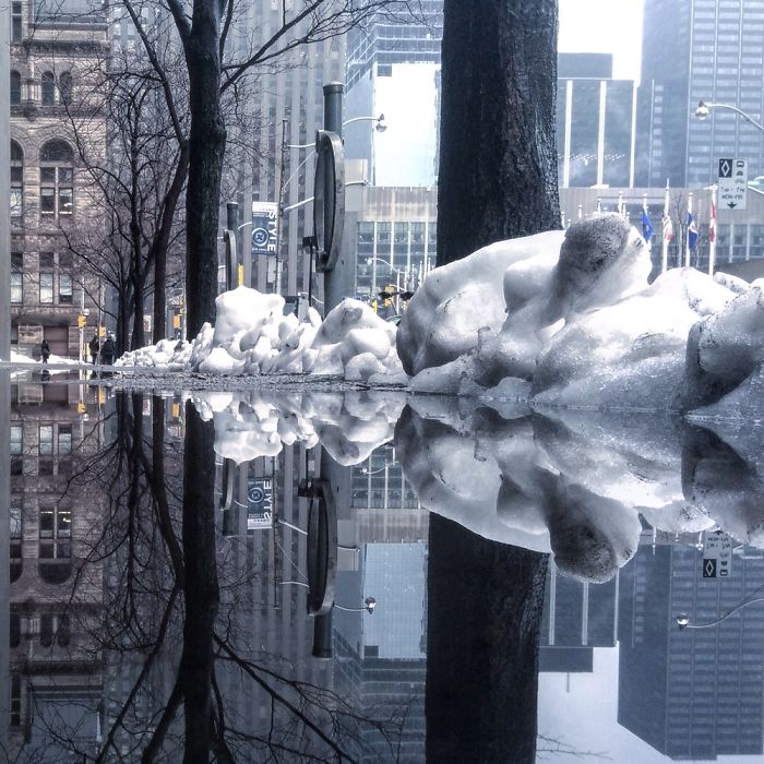 The Parallel Worlds Of Puddles In Toronto