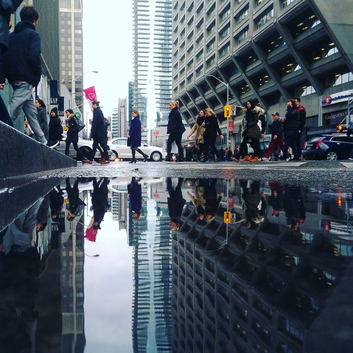 The Parallel Worlds Of Puddles In Toronto