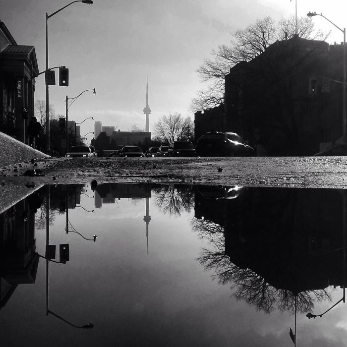 The Parallel Worlds Of Puddles In Toronto