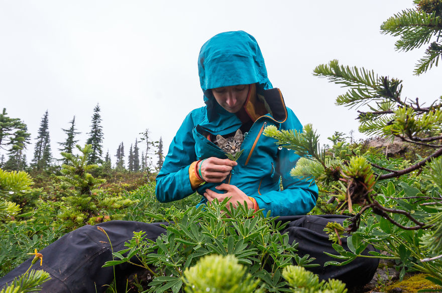 These Two Kittens Were Left To Die, But Now Go On Epic Adventures With Us These Two Kittens Were Left To Die, But Now Go On Epic Adventures With Us
