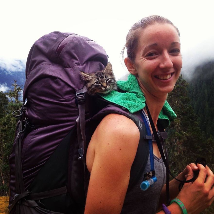 These Two Kittens Were Left To Die, But Now Go On Epic Adventures With Us