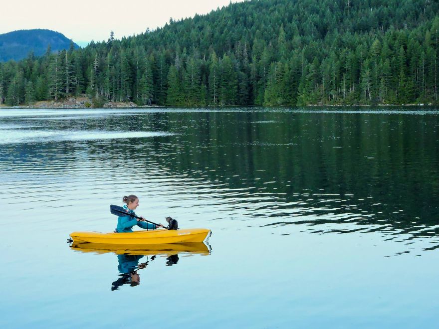These Two Kittens Were Left To Die, But Now Go On Epic Adventures With Us
