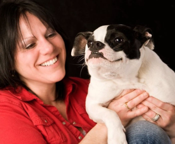 This Dog Is Not Photoshopped, She's Real And Perfect This Dog Is Not Photoshopped, She's Real And Perfect