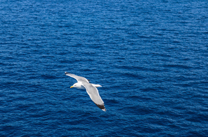 Traveling And Photography Are My Passion.