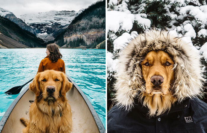 Human Takes His Dog On Epic Adventures, Proves That Dogs Are The Best Travel Buddies