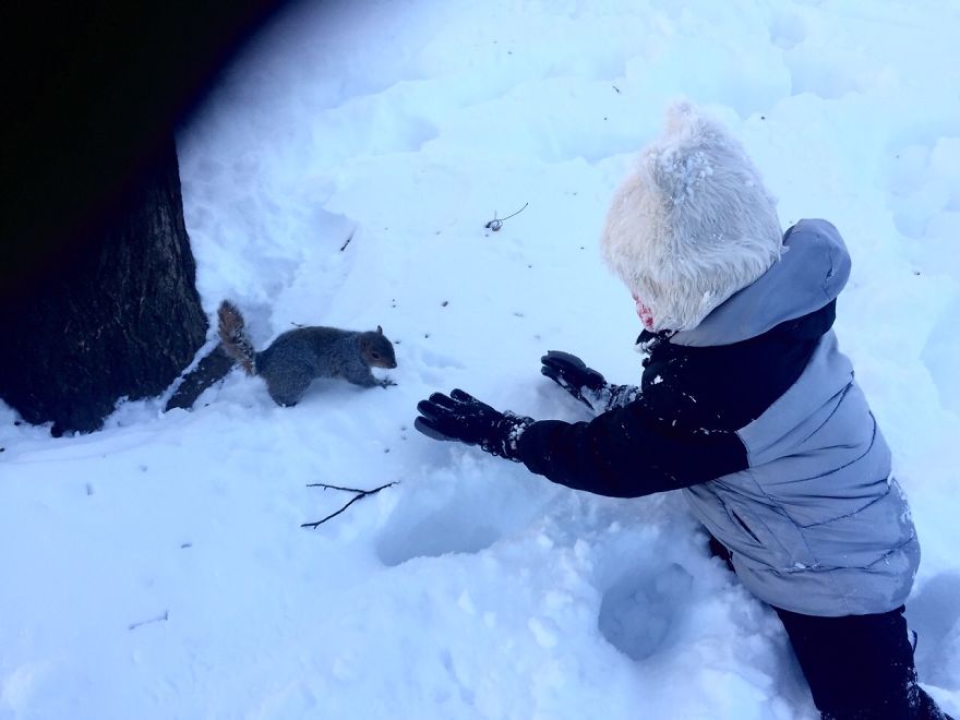 We Found A Squirrel In A Park And We Ate Chocolate Together