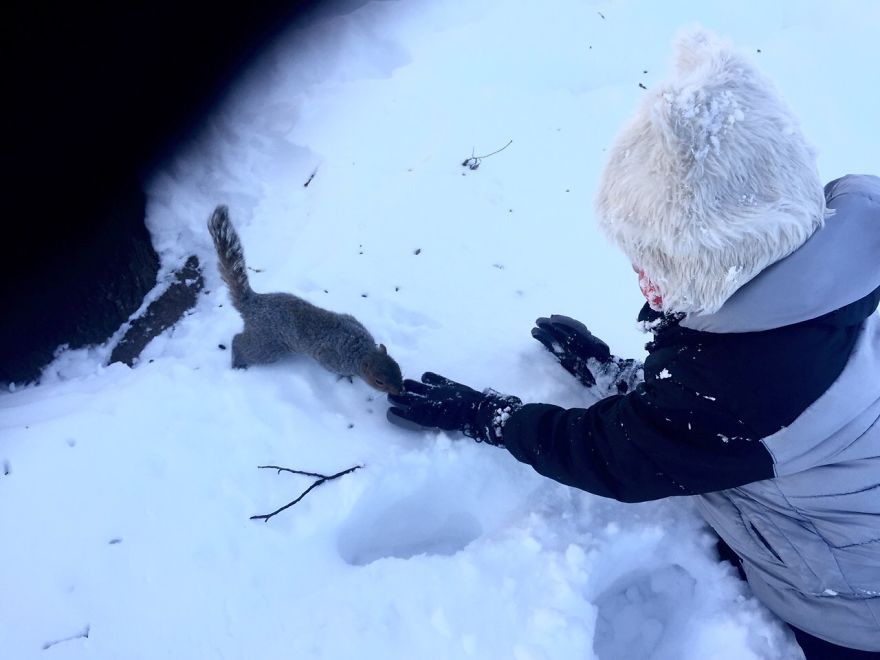 We Found A Squirrel In A Park And We Ate Chocolate Together