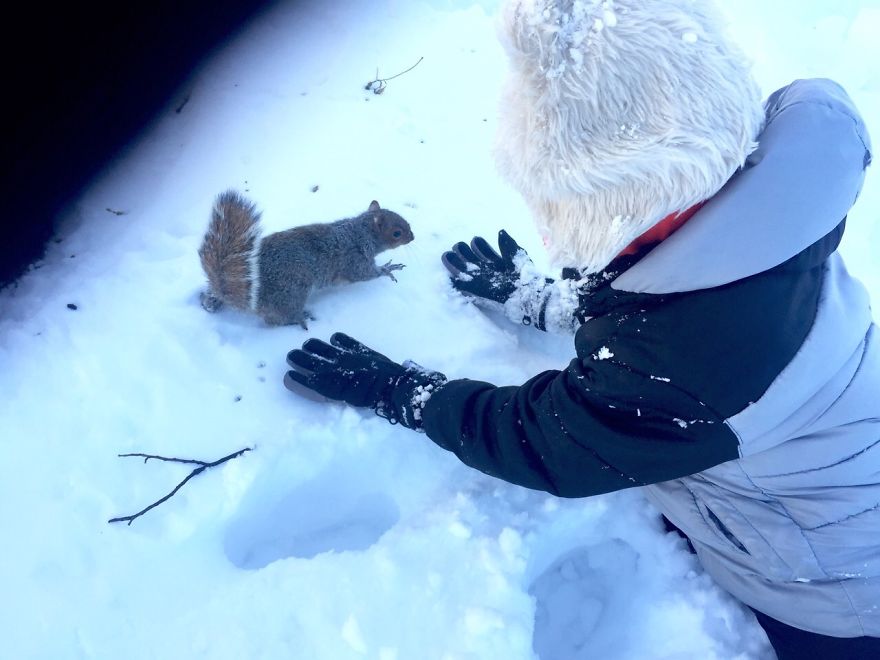 We Found A Squirrel In A Park And We Ate Chocolate Together