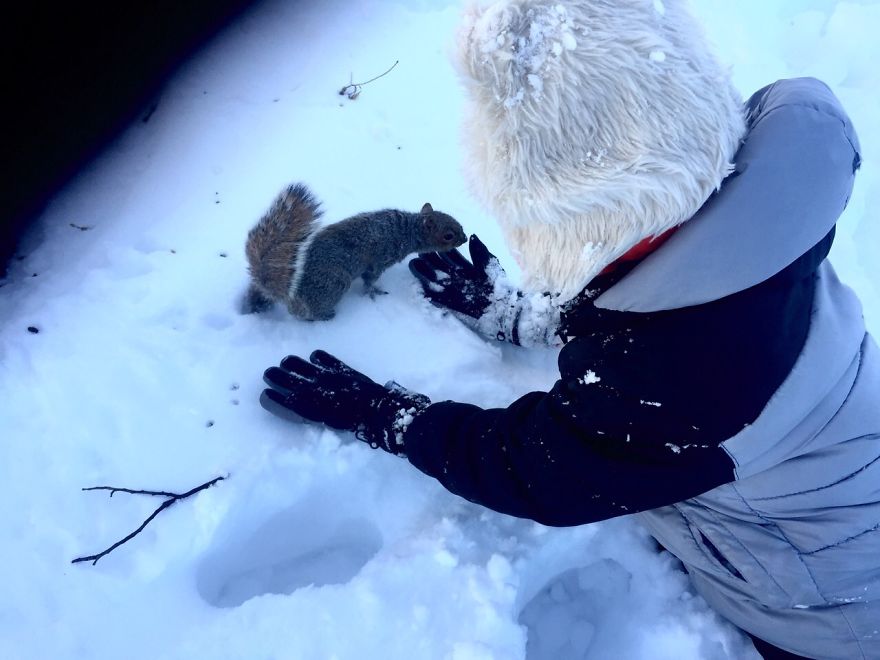 We Found A Squirrel In A Park And We Ate Chocolate Together