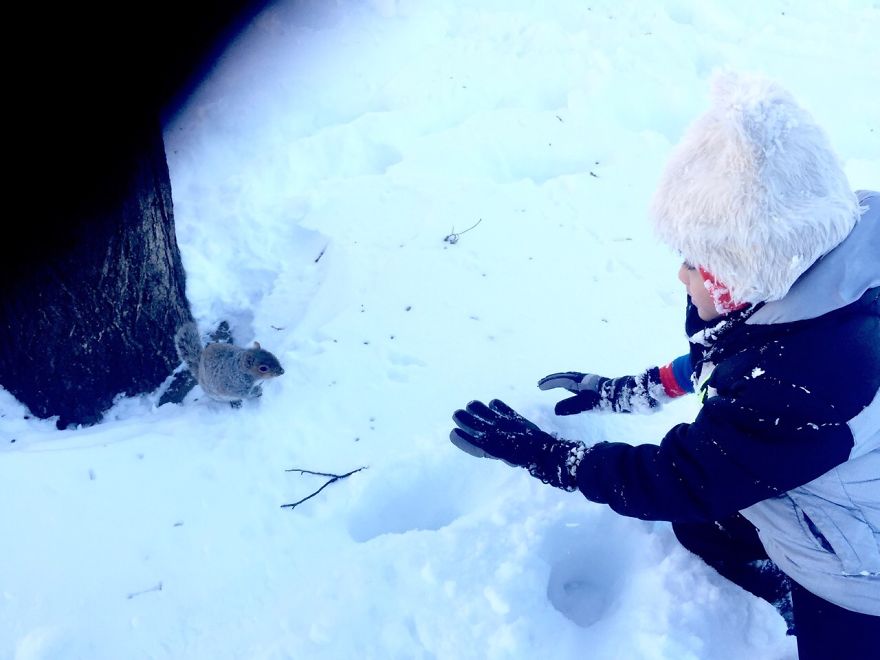 We Found A Squirrel In A Park And We Ate Chocolate Together