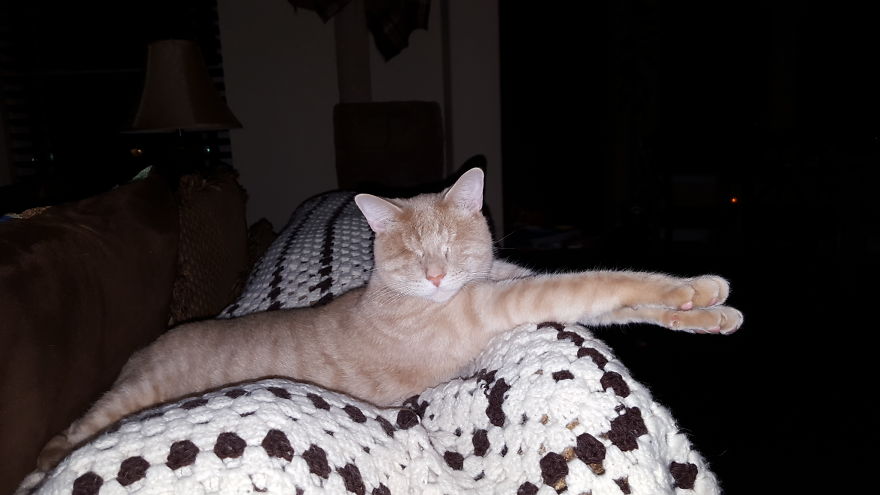 We Saved A One-Eyed Cat, And He Saved Us Right Back! We Saved A One-Eyed Cat, And He Saved Us Right Back!