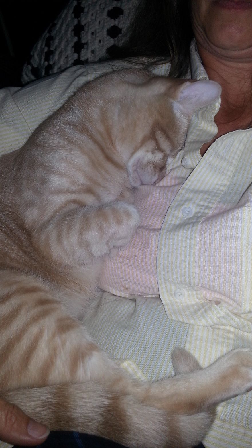 We Saved A One-Eyed Cat, And He Saved Us Right Back!