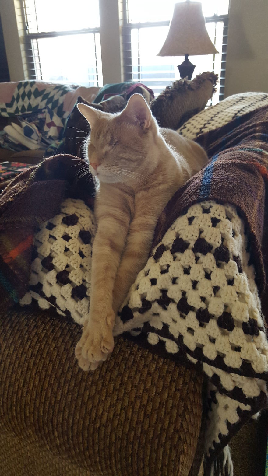 We Saved A One-Eyed Cat, And He Saved Us Right Back! We Saved A One-Eyed Cat, And He Saved Us Right Back!