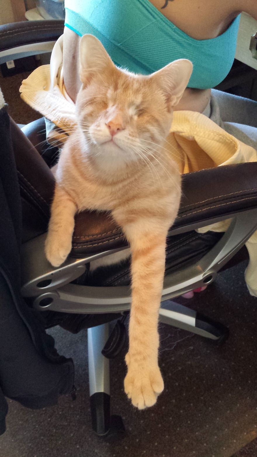 We Saved A One-Eyed Cat, And He Saved Us Right Back!