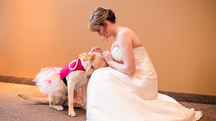 Service Dog Calms Bride Suffering From Anxiety During Her Wedding Day
