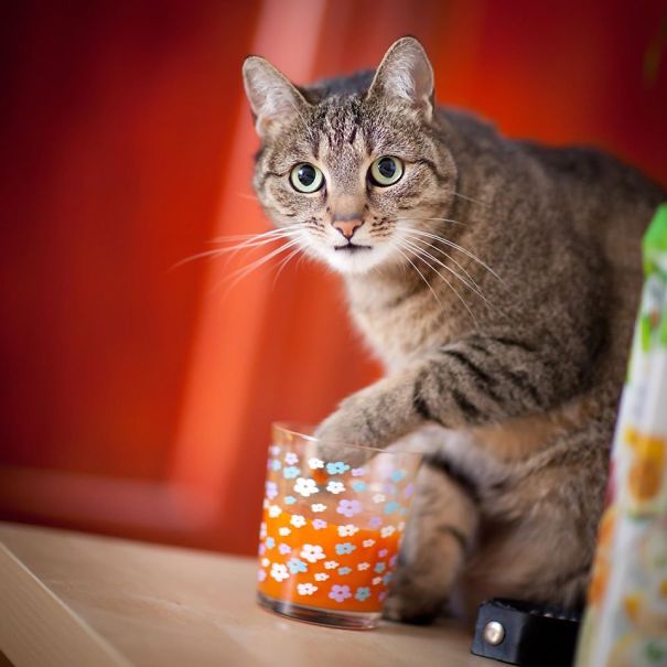 My Girl Drinking Carrot Juice