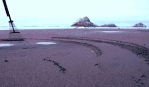 I Know This Has Little To Do With Panting As We Know It.. But Still It's Amazing!