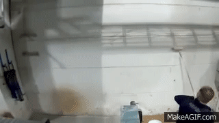 How Many Would Guess That Painting Your Garage Door Could Turn Into A Disaster