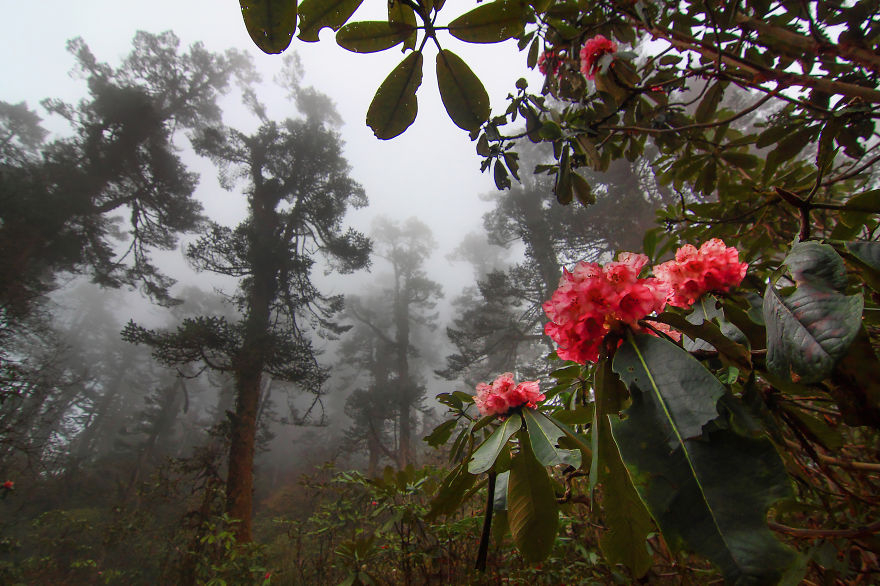 My Photographs Of India Destroy The Stereotypical Image Of The Country My Photographs Of India Destroy The Stereotypical Image Of The Country