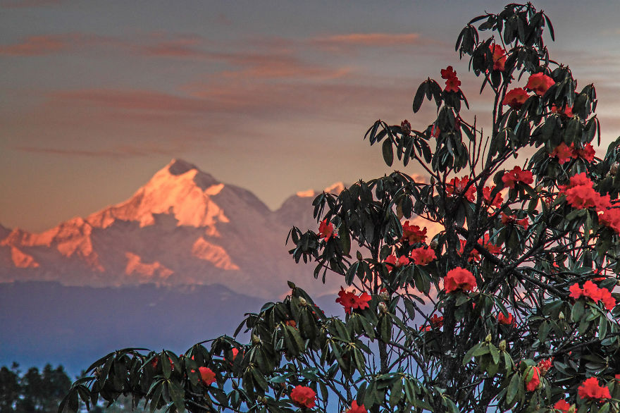 My Photographs Of India Destroy The Stereotypical Image Of The Country My Photographs Of India Destroy The Stereotypical Image Of The Country