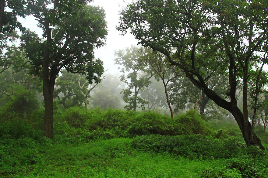 My Photographs Of India Destroy The Stereotypical Image Of The Country