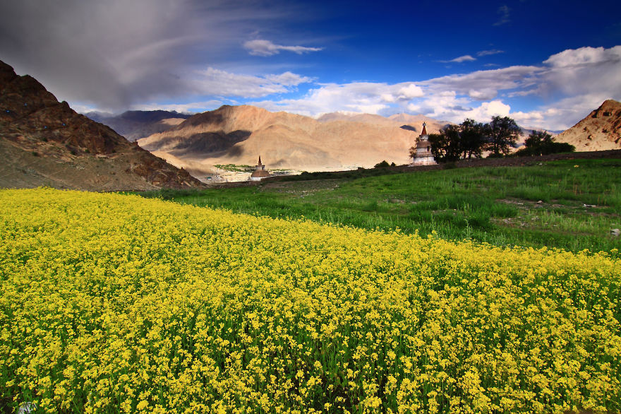 My Photographs Of India Destroy The Stereotypical Image Of The Country